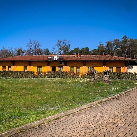 Bed and Breakfast Gelso Bianco Cogliate Esterno foto